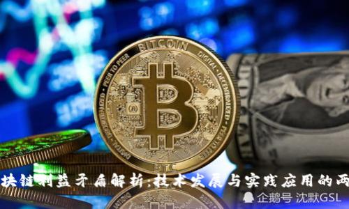 区块链利益矛盾解析：技术发展与实践应用的两难