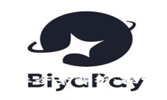 区块链支付企业全景解析：探索当今领先公司