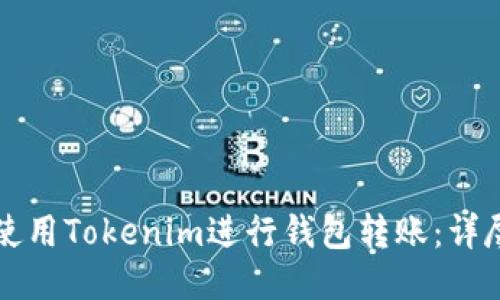 如何使用Tokenim进行钱包转账：详尽指南