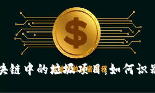 揭秘区块链中的垃圾项目：如何识别与避开