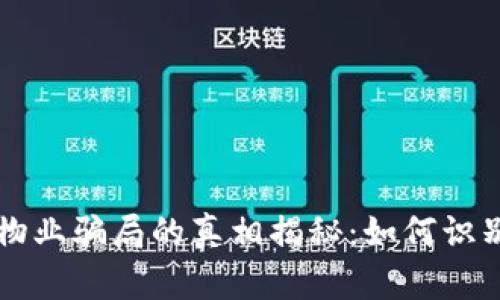 区块链物业骗局的真相揭秘：如何识别与防范