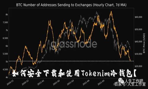 如何安全下载和使用Tokenim冷钱包？