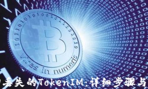 
如何找回丢失的TokenIM：详细步骤与解决方案