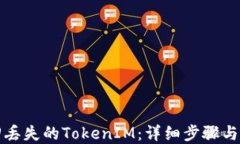 如何找回丢失的TokenIM：详细步骤与解决方案