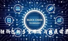 区块链钱包的多重用途与发展前景分析