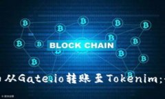 如何将币从Gate.io转账至Tokenim：全面指南