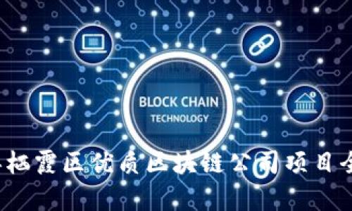 2023年栖霞区优质区块链公司项目全面解析