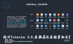 杭州Tokenim 2.0：是骗局还是投资机会？