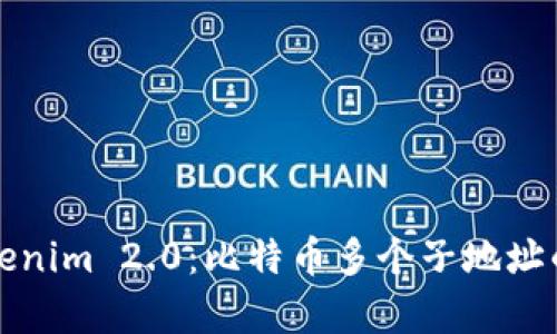 深入分析Tokenim 2.0：比特币多个子地址的应用与优势