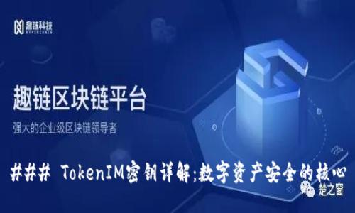 ### TokenIM密钥详解：数字资产安全的核心