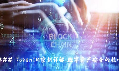 ### TokenIM密钥详解：数字资产安全的核心