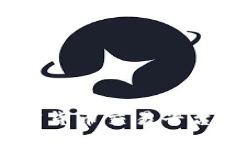 TokenIM 2.0：加密货币交易平台的风险与机遇分析