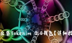 如何快速出售Tokenim 2.0钱包？详细指南与策略
