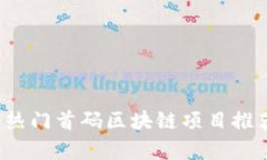 2023年热门首码区块链项目推荐与分析