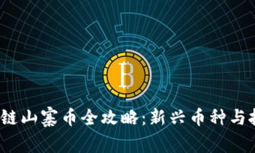 2023年区块链山寨币全攻略：新兴币种与投资机会分析