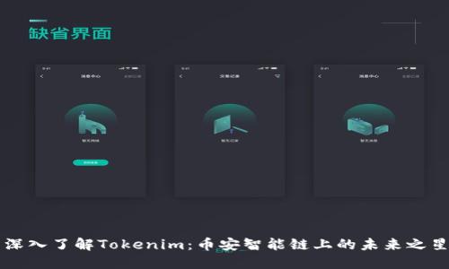 深入了解Tokenim：币安智能链上的未来之星