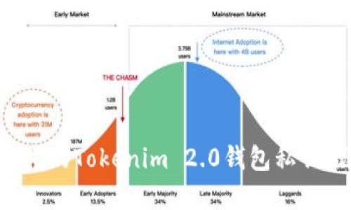 如何恢复被丢失的Tokenim 2.0钱包私钥：详细解决方案