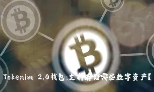 Tokenim 2.0钱包：支持存储哪些数字资产？