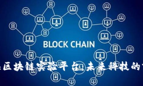 探索上海区块链实验平台：未来科技的前沿阵地