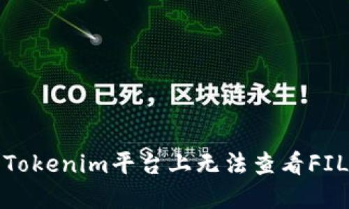 如何解决Tokenim平台上无法查看FIL币的问题