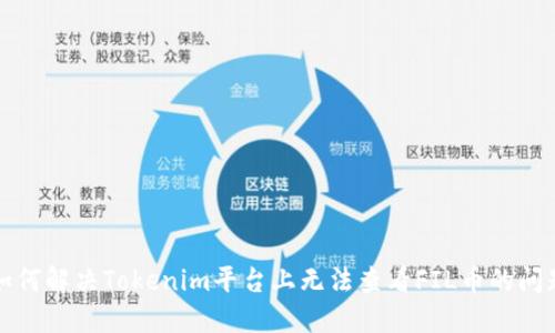 如何解决Tokenim平台上无法查看FIL币的问题