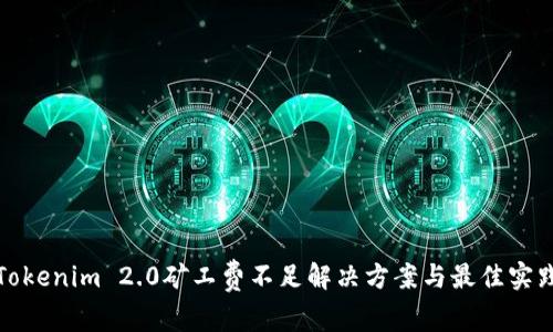 Tokenim 2.0矿工费不足解决方案与最佳实践