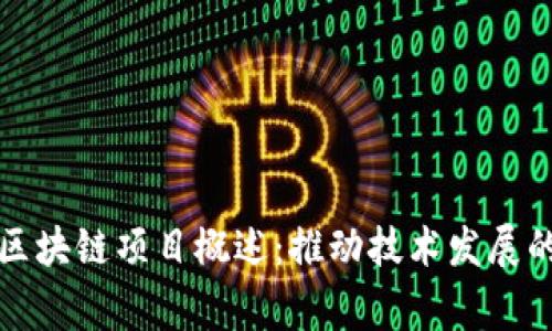 中国主要区块链项目概述：推动技术发展的国家战略