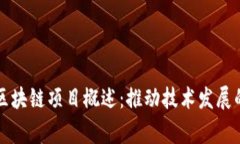 中国主要区块链项目概述：推动技术发展的国家