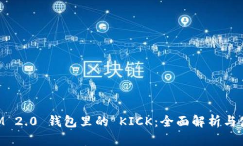 TokenIM 2.0 钱包里的 KICK：全面解析与使用指南
