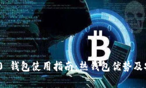 TokenIM 2.0 钱包使用指南:热钱包优势及安全注意事项