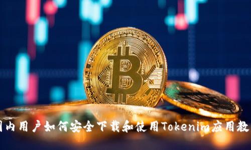 国内用户如何安全下载和使用Tokenim应用教程