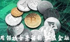   2023年区块链应用领域全景解析：涵盖金融、供