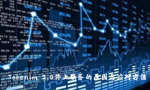 Tokenim 2.0停止服务的原因与应对方法