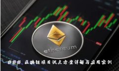 ### 区块链项目试点方案详解与应用实例