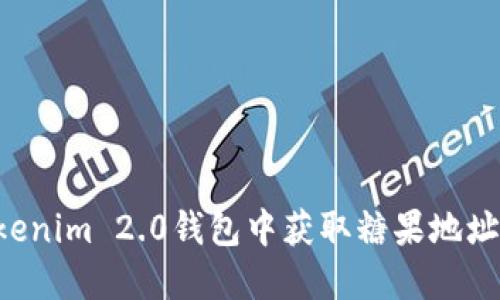 如何在Tokenim 2.0钱包中获取糖果地址:详细指南