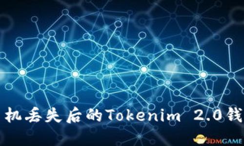 如何应对手机丢失后的Tokenim 2.0钱包安全问题