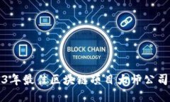 2023年最佳区块链项目大师公司推荐