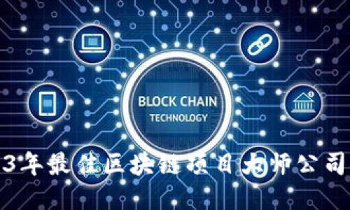 2023年最佳区块链项目大师公司推荐