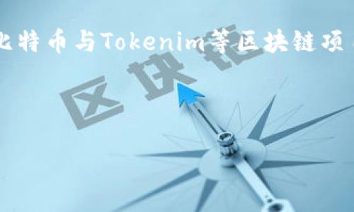 关于“Tokenim 2.0的比特币是什么链”这个问题，我们可以将其拆解为几个更广泛的主题，以便更好地理解比特币与Tokenim等区块链项目之间的关系。首先，我们需要对Tokenim 2.0有基本的了解，并通过它的显著特征来分析其与比特币的关系。

以下是一个可能的内容大纲，以及与您的问题相关的详细信息。

### Tokenim 2.0：比特币在新时代的链上革命