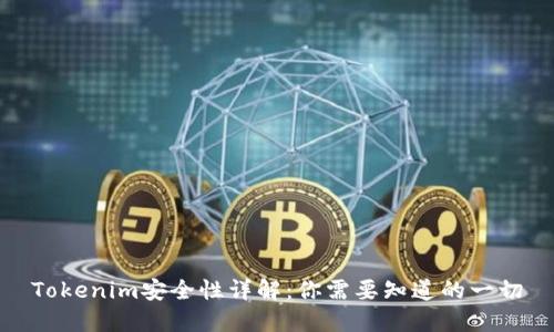 Tokenim安全性详解:你需要知道的一切