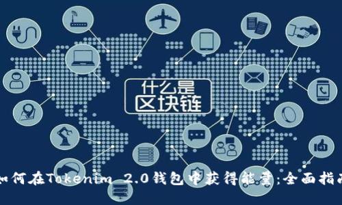 如何在Tokenim 2.0钱包中获得能量：全面指南