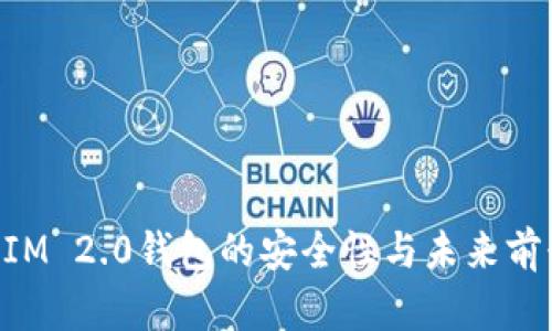 TokenIM 2.0钱包的安全性与未来前景分析