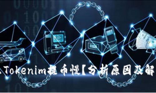 为什么Tokenim提币慢？分析原因及解决方案