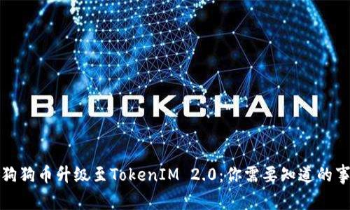 狗狗币升级至TokenIM 2.0：你需要知道的事