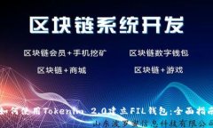 如何使用Tokenim 2.0建立FIL钱包：全面指南