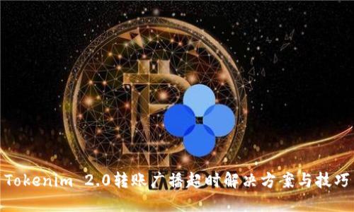 Tokenim 2.0转账广播超时解决方案与技巧