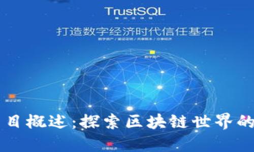 区块链项目概述：探索区块链世界的无穷可能